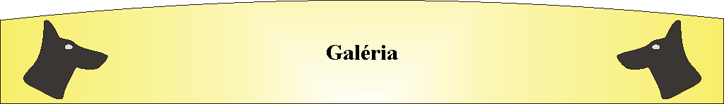 Galria