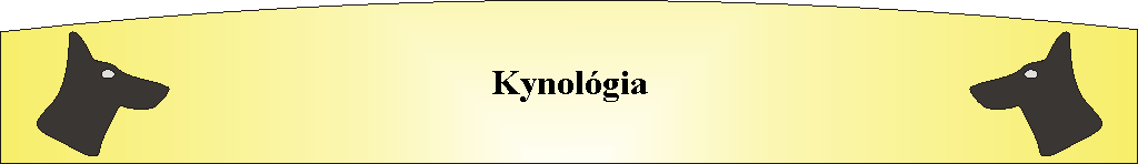 Kynolgia